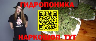 дживик Бийск
