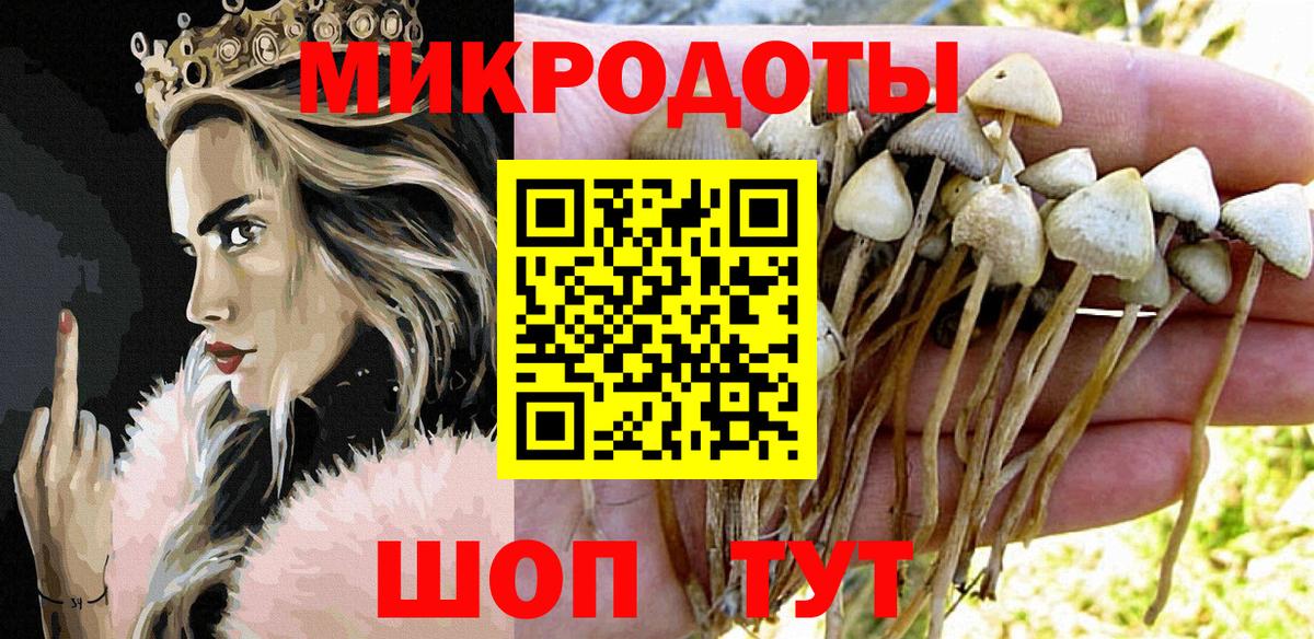 Вышний Волочёк  Псилоцибиновые грибы Psilocybine cubensis  Вход с VPN 