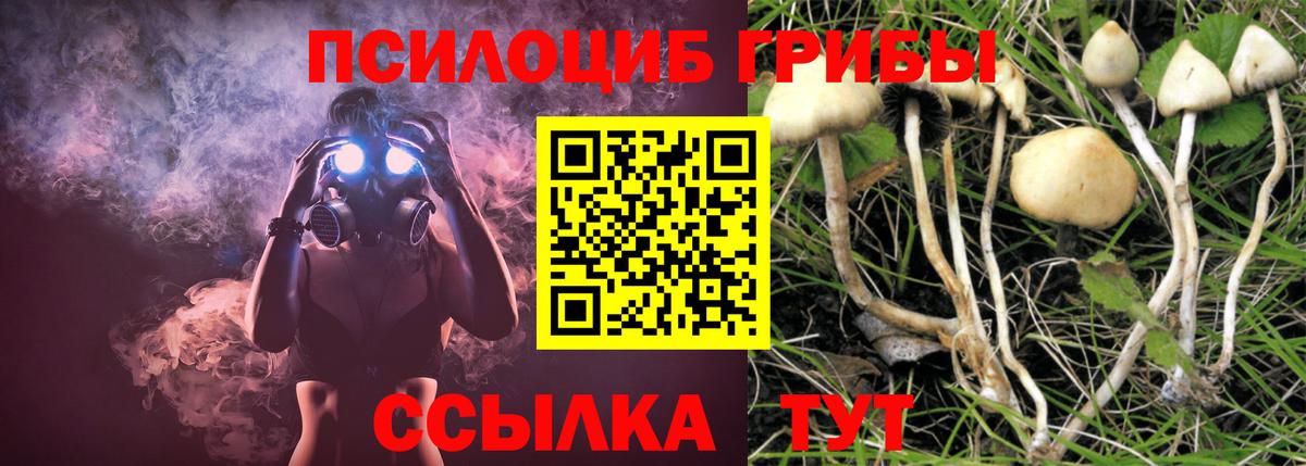 Купить наркотики цена  Меф   Амфетамин   MDMA  Вышний Волочёк  ГАШИШ  МАРИХУАНА  Вход с VPN  COCAIN 